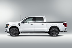 F-150 REGIONAL PACKAGE - TEXAS WITH 20" WHEEL