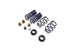 MUSTANG STREET LOWERING SPRING KIT