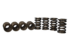 TVS-1734 VALVE SPRINGS SET (8)