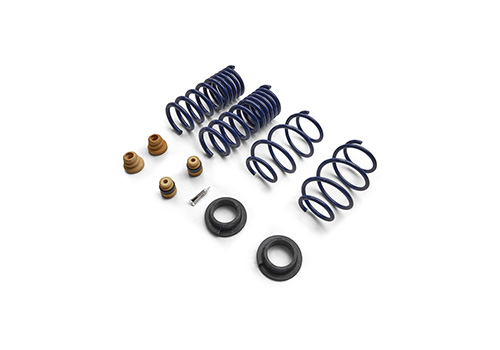 MUSTANG STREET LOWERING SPRING KIT
