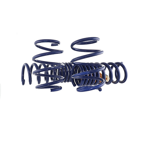 MUSTANG 5.0L TRACK LOWERING SPRING KIT