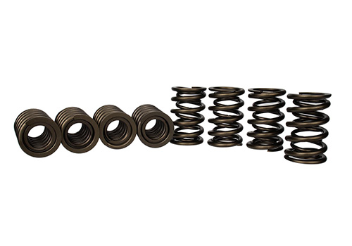 TVS-1734 VALVE SPRINGS SET (8)