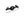 BRONCO M220 REAR AXLE ASSEMBLY 4.88 RATIO W/ ELD